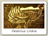 Palatinus Liliána