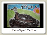 Rakottyai Katica
