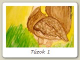 Túzok 1