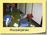 Mocsárjárás