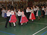 2010 (20)