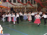 2010 (5)