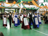2011 (4)