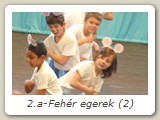2.a-Fehér egerek (2)