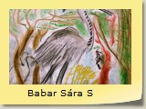 Babar Sára S