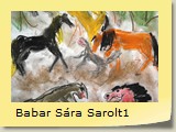 Babar Sára Sarolt1