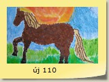 új 110