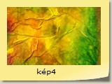 kép4