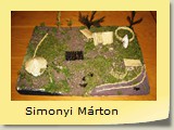 Simonyi Márton
