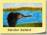 Sándor Szilárd