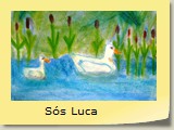 Sós Luca