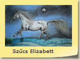 Szűcs Elizabett